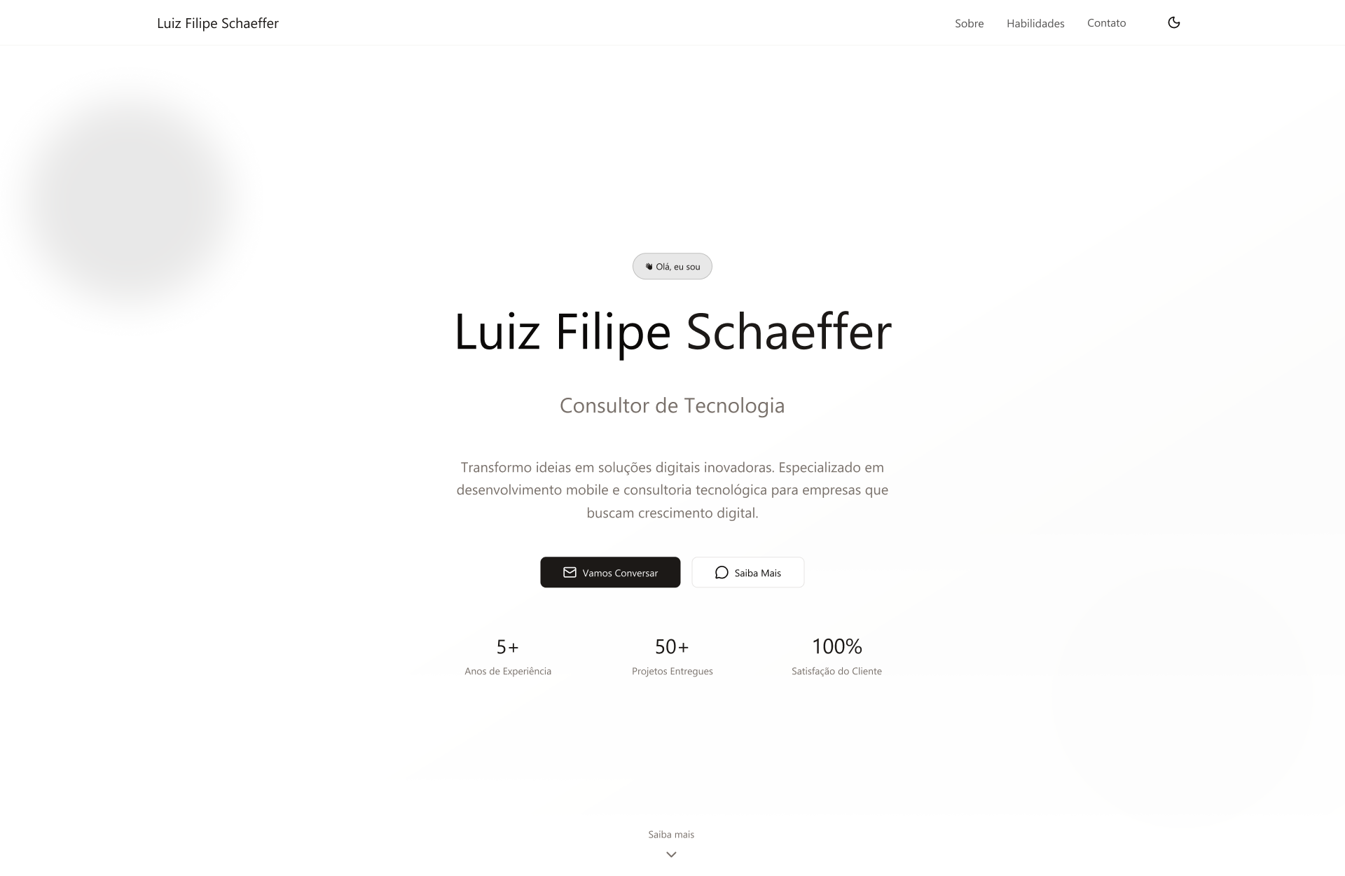 Luiz Filipe Schaeffer - Desenvolvedor Fullstack e Analista de Suporte